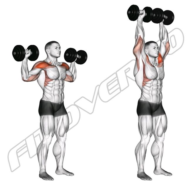 Dumbbell Standing Overhead Press by Ftf40 Jan Exercise Howto Skimble