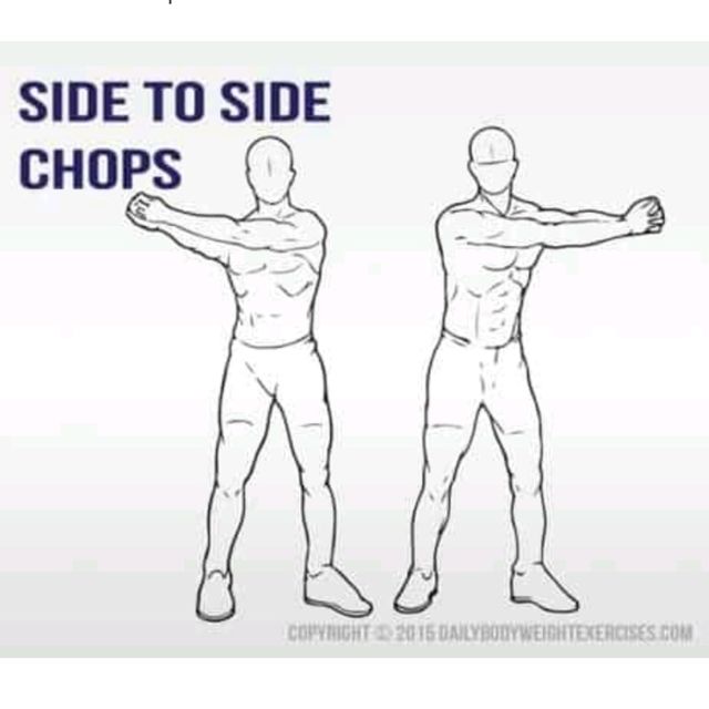 Side To Side Arm Chops by Patrick B. Exercise Howto Skimble