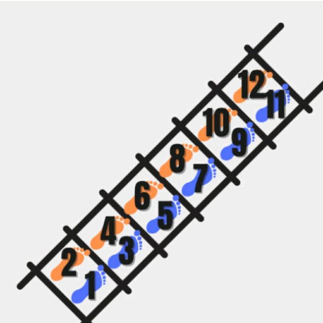 Double Foot Run Plyometric Ladder Drill by Kimberly C Exercise Howto