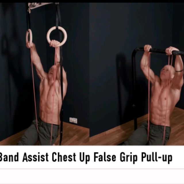 Band Assisted Chest up false grip Pull Up by Alex 🌊. Exercise Howto