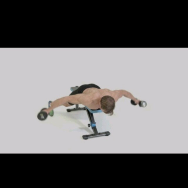 Lying Rear Delt Fly by Martel Berry Exercise Howto Skimble