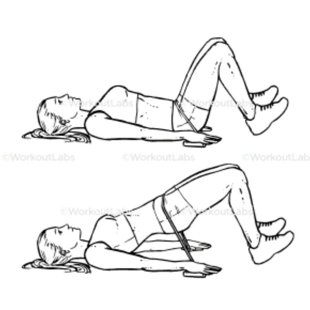 Resistance Band Glute Bridge by Karen L. Exercise Howto Skimble