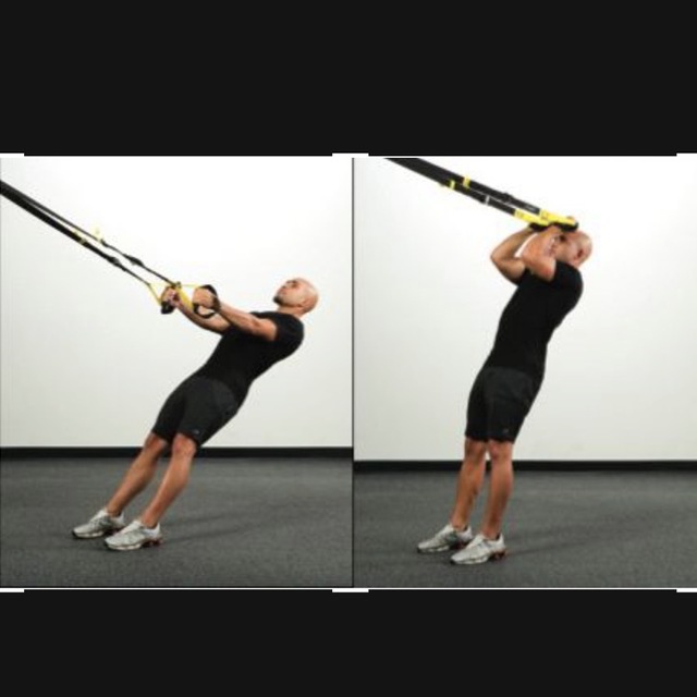 Suspension Trainer Curls by Elliott Konieczka Exercise Howto Skimble