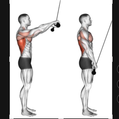 Cable Straight Arm Pulldowns