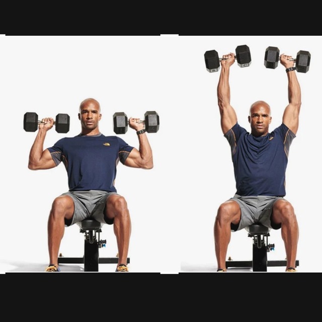 Seated Military Press by Elliott Konieczka Exercise Howto Skimble