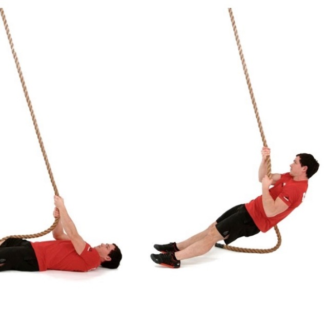 Modyfied Rope Climb by Piotr Chopcian Exercise Howto Skimble