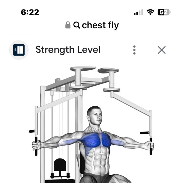 Chest Fly by Stacey S. Exercise Howto Skimble