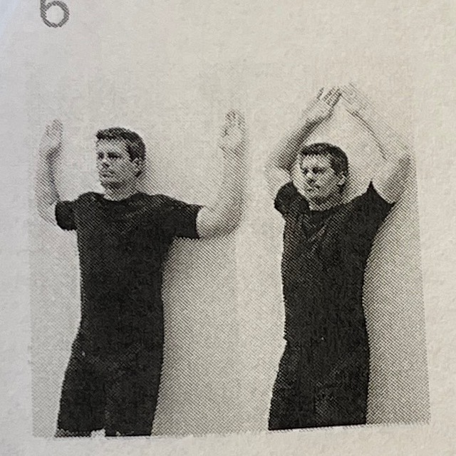 Wall Angels by Courtney Gulledge Gibeault Exercise Howto Skimble