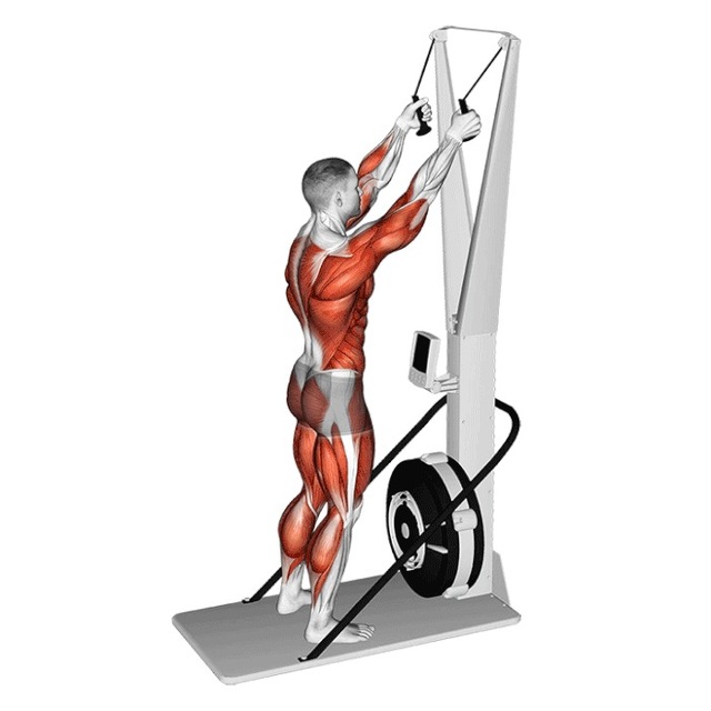 SkiErg by Matéo Panda Gang Comment faire de l'exercice Skimble