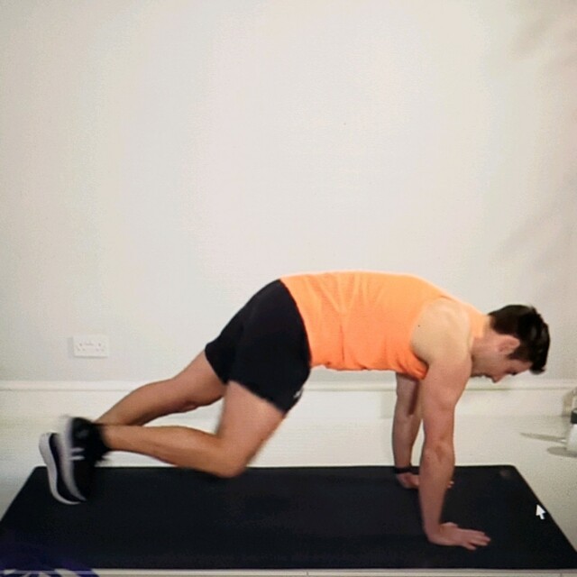 Rotating Mountain Climbers by Frank Roodenburg Exercise Howto Skimble