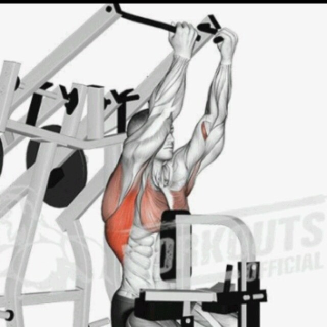 Lat Pulldown Leverage by David Exercise Howto Skimble