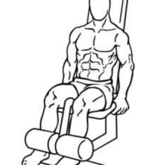 Knee Extension Machine by Fred Ribeiro Exercise Howto Skimble
