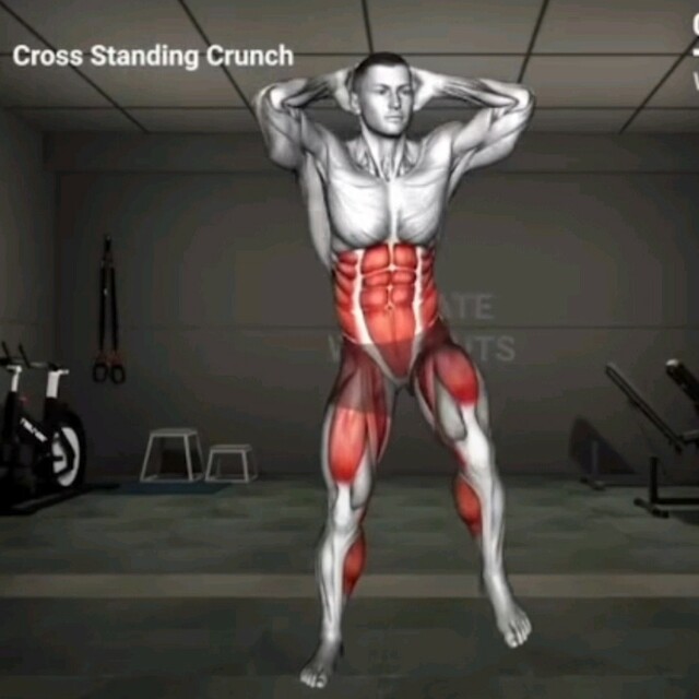 Cross Standing Crunches by Fábio P. Exercise Howto Skimble