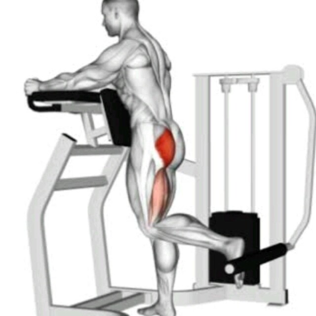 Glute Extension by Fred Ribeiro Exercise Howto Skimble