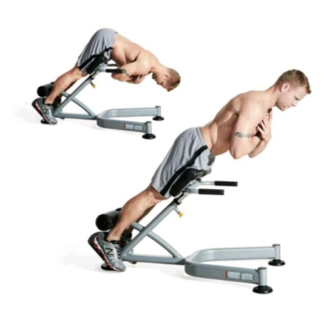 Bench Weighted Back extensions ( Or BB SUMO DLs) by 𝔻𝕖𝕤𝕖𝕣𝕥 𝔽𝕠𝕩🦊 🌟