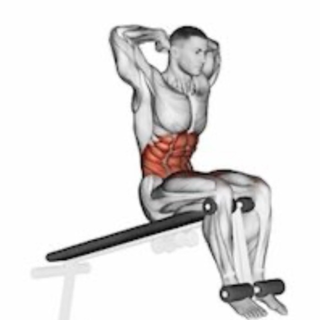 Decline Crunches by Neale Davis Exercise Howto Skimble