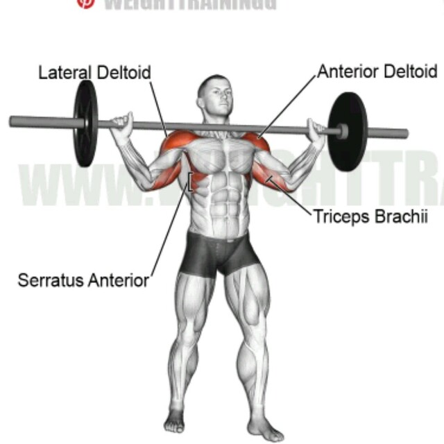 Military Press by Oj Williams Exercise Howto Skimble