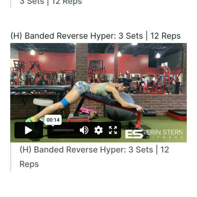 Banded Reverse Hyper: 3 Sets | 12 Reps by Corporal Knutson - Exercise ...