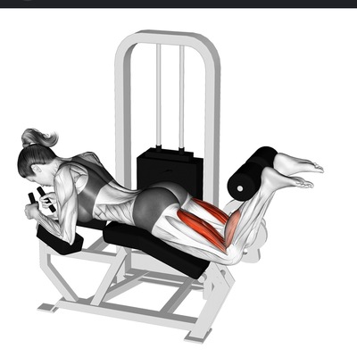 ウエイトトレーニング Leg Curl Leg Curl による Jdan Bit - エクササイズのやり方 - Skimble