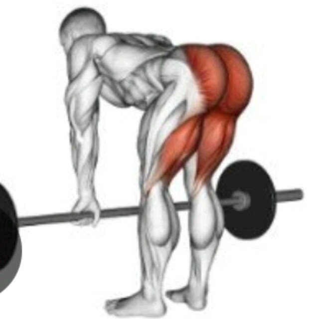RDLs by Kc H. - Exercise How-to - Skimble Workout Trainer