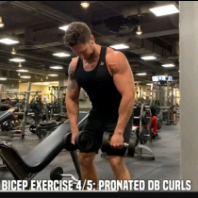 Pronated Dumbbell Curls by Martel Berry - Exercise How-to - Skimble