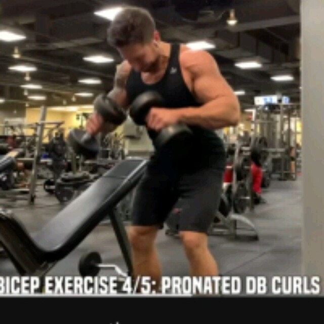 Pronated Dumbbell Curls by Martel Berry - Exercise How-to - Skimble