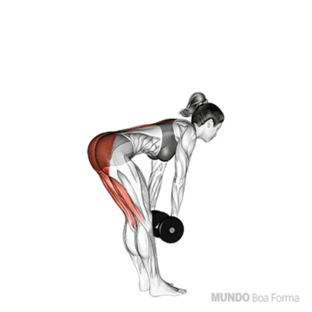 How to do: Stiff com Halteres - Step 1