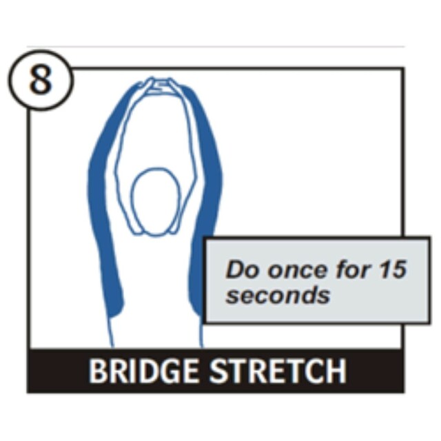 Bridge Stretch by Leo B. - Exercise How-to - Skimble
