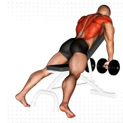 Incline Dumbbell Row