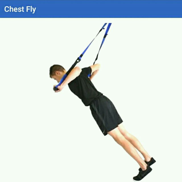Chest Fly by Jamal Felton Exercise Howto Skimble