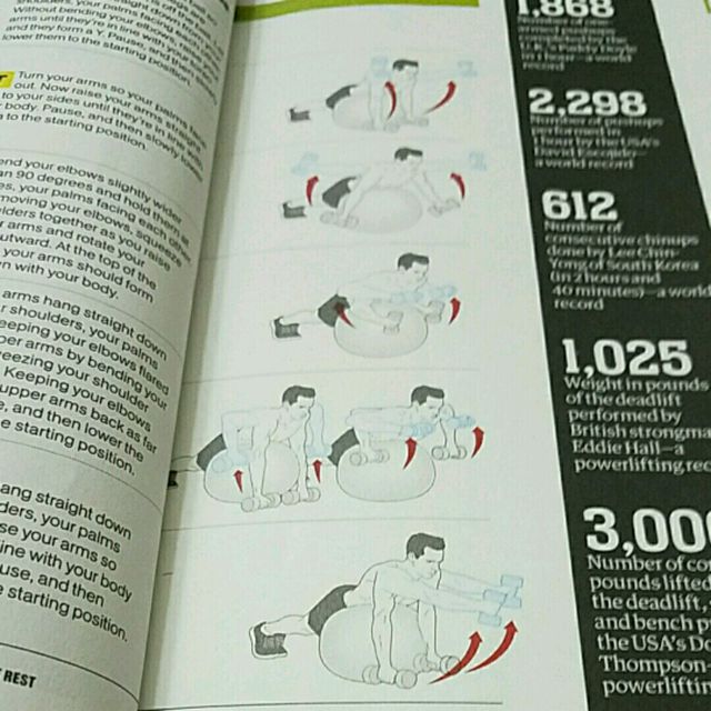 YTWLI Dumbbell Raises On A Swiss Ball (Y) by Allen D. Exercise Howto