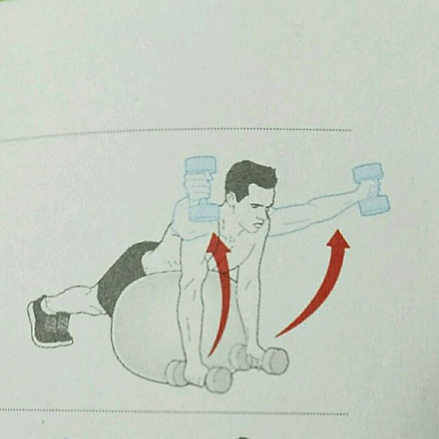 YTWLI Dumbbell Raises On A Swiss Ball (Y) by Allen D. Exercise Howto