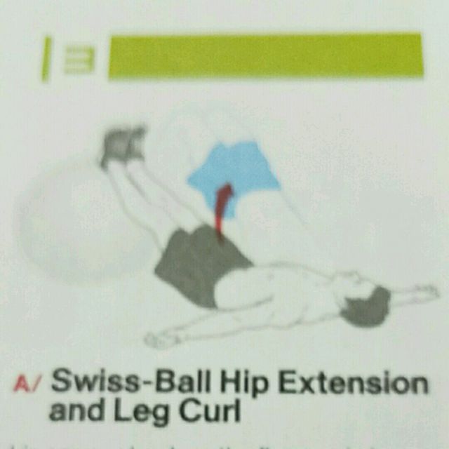 Swiss Ball Hip Extension And Leg Curl by Allen Dunnick Exercise Howto Skimble