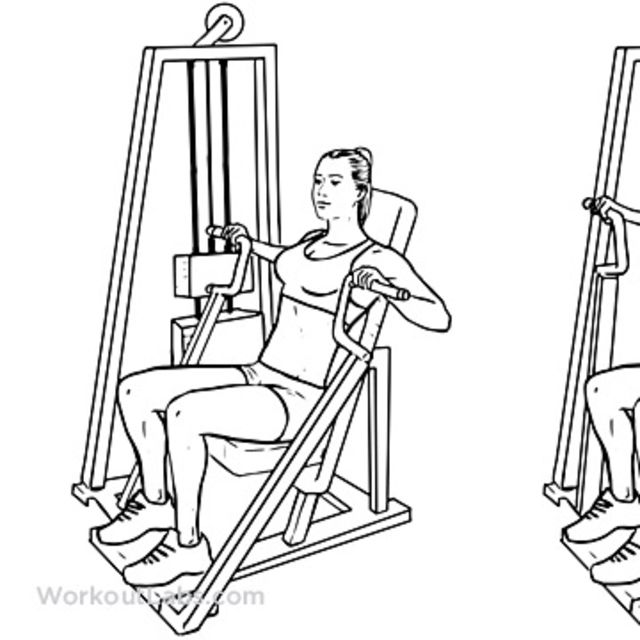 Machine Chest Press by Brigitte R. Exercise Howto Skimble