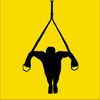 TRX Full body